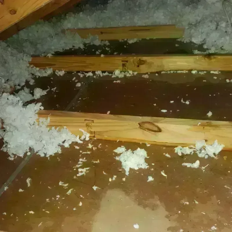 Attic Water Damage in Teays Valley, WV