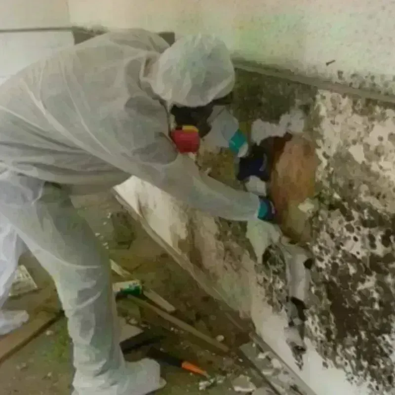 Mold Remediation and Removal in Teays Valley, WV